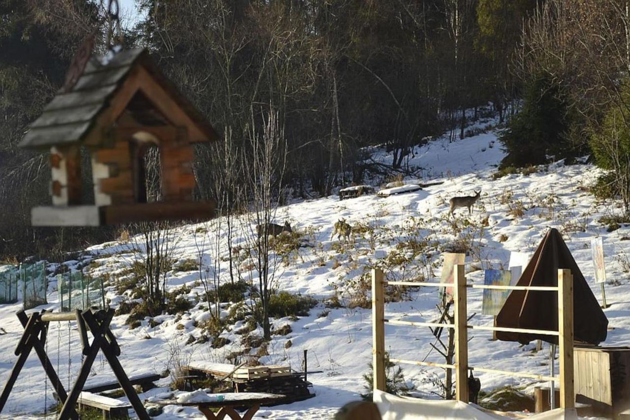 Mountain Chalet Smolenisko Domek W Gorach Nowy Targ Esterno foto